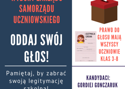 Thumbnail for the post titled: Wybory – najważniejsze informacje.